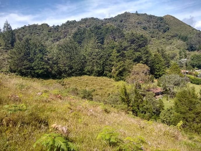 Granja de 22 Acres en El Retiro - Propiedad Escénica en Venta