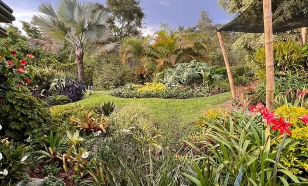 Finca de Café Orgánico en Venta en Pereira, Colombia - Imagen 1