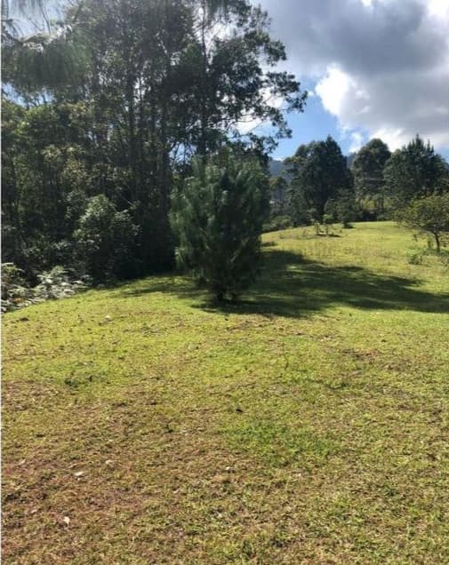 Premium Rionegro Lot for Sale - Medellín real estate - Image 1
