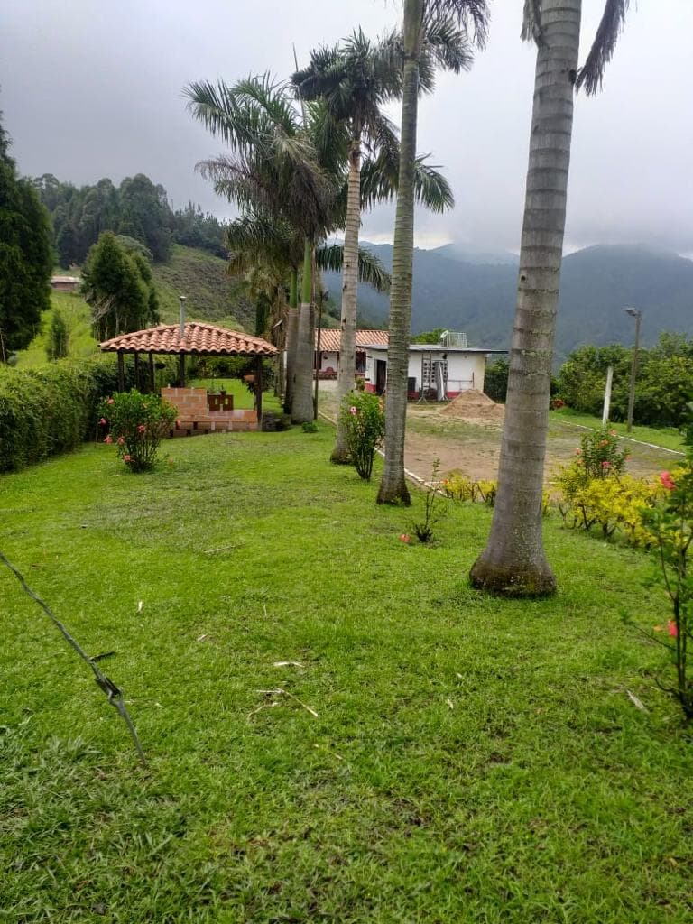 Finca Amagá - 31 Acres Cerca de Medellín con Aguacates