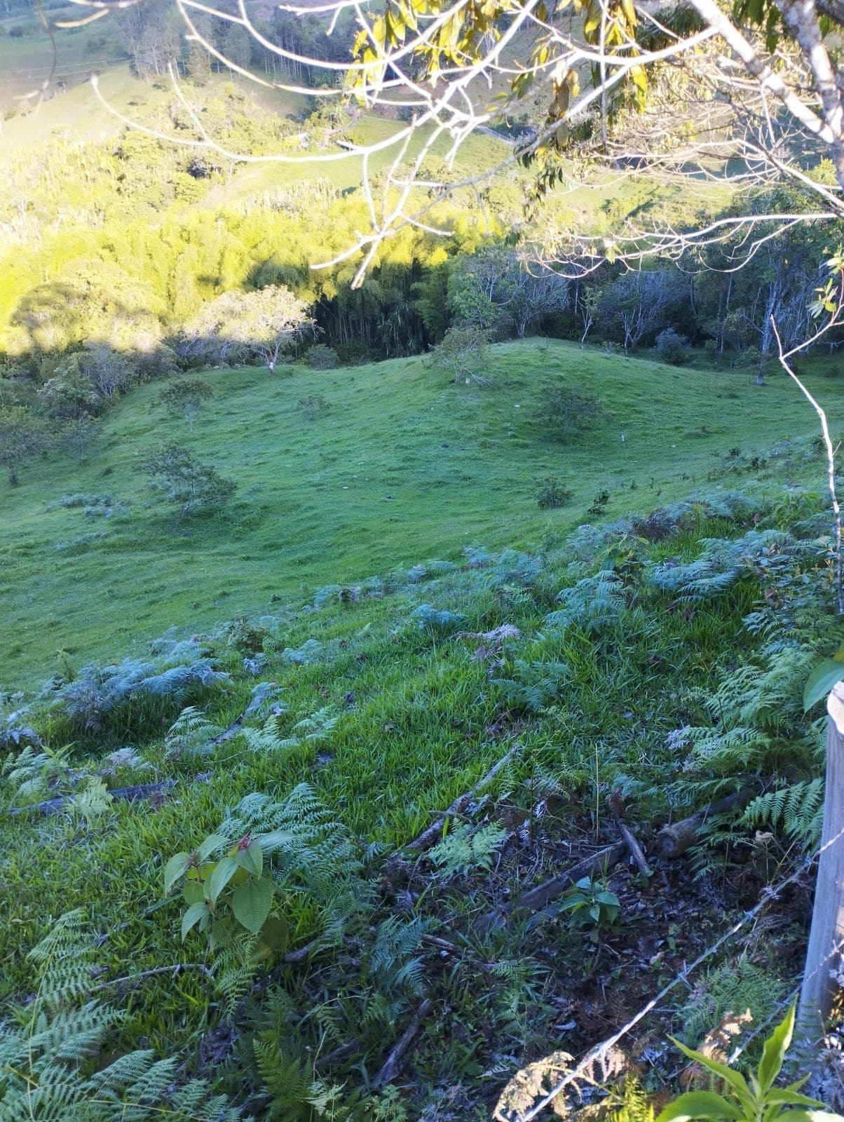 Lote de 5 Acres en Venta en Jericó, Antioquia | M.C.R.E. - Imagen 1