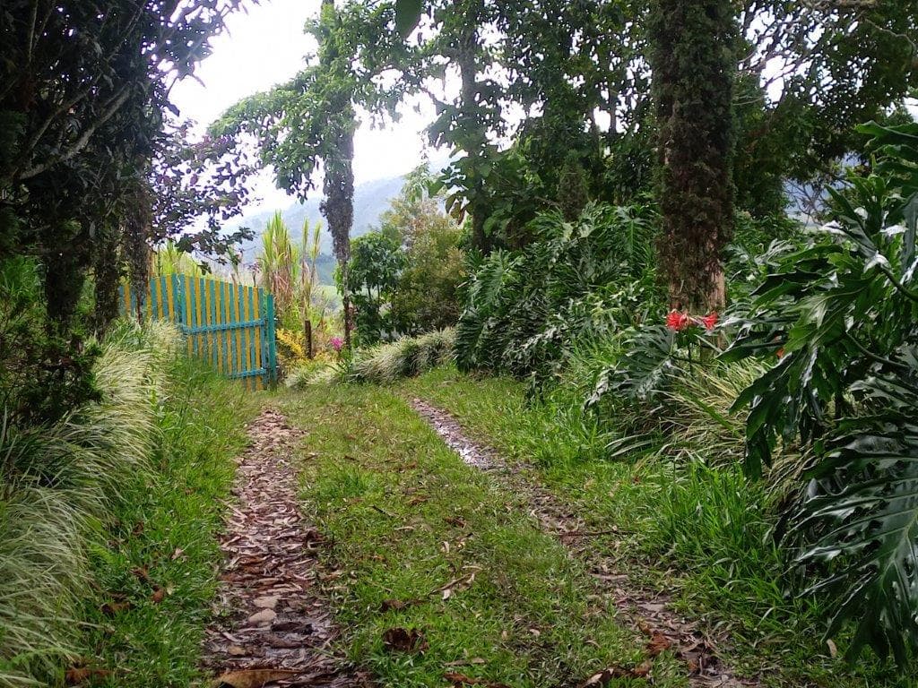 Finca de Café Jericó - Retiro Escénico en Venta