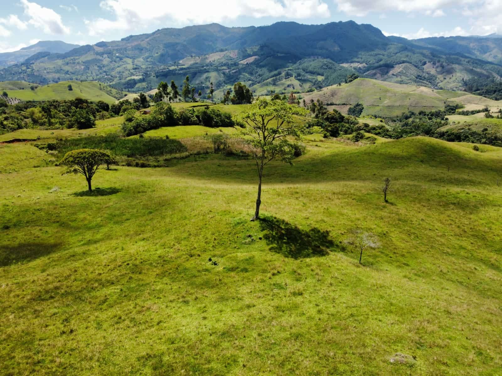 Desarrollo de Terrenos en Jericó - Lotes Primeros en Colombia